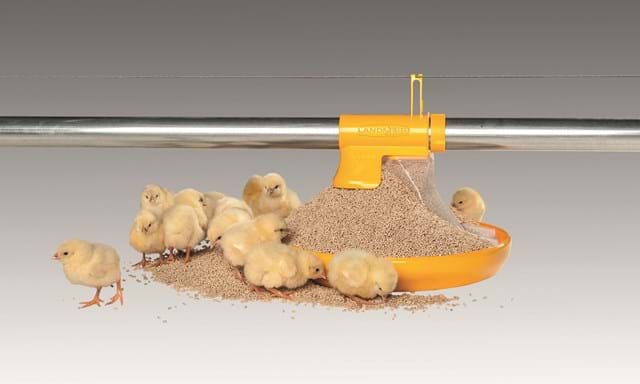 Pan feeder for poultry | SKIOLD LANDMECO